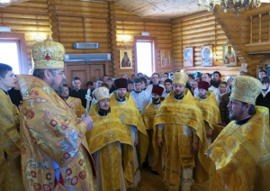 ПМДС5